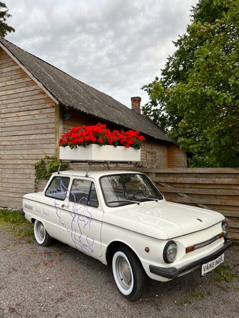 9.5.2026 Tallinnan runsaat kukkamarkkinat