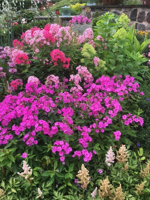 21.–23.7.2026 Länsi-Viron puutarhat